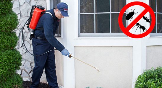 Tirebolu Bit İlaçlama böcek ilaçlama ve haşere kontrolü — ilaclama-tr.com